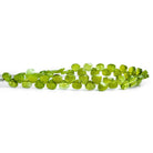 Idocrase Faceted Heart Beads 6 inch 50 pieces - The Bead Traders