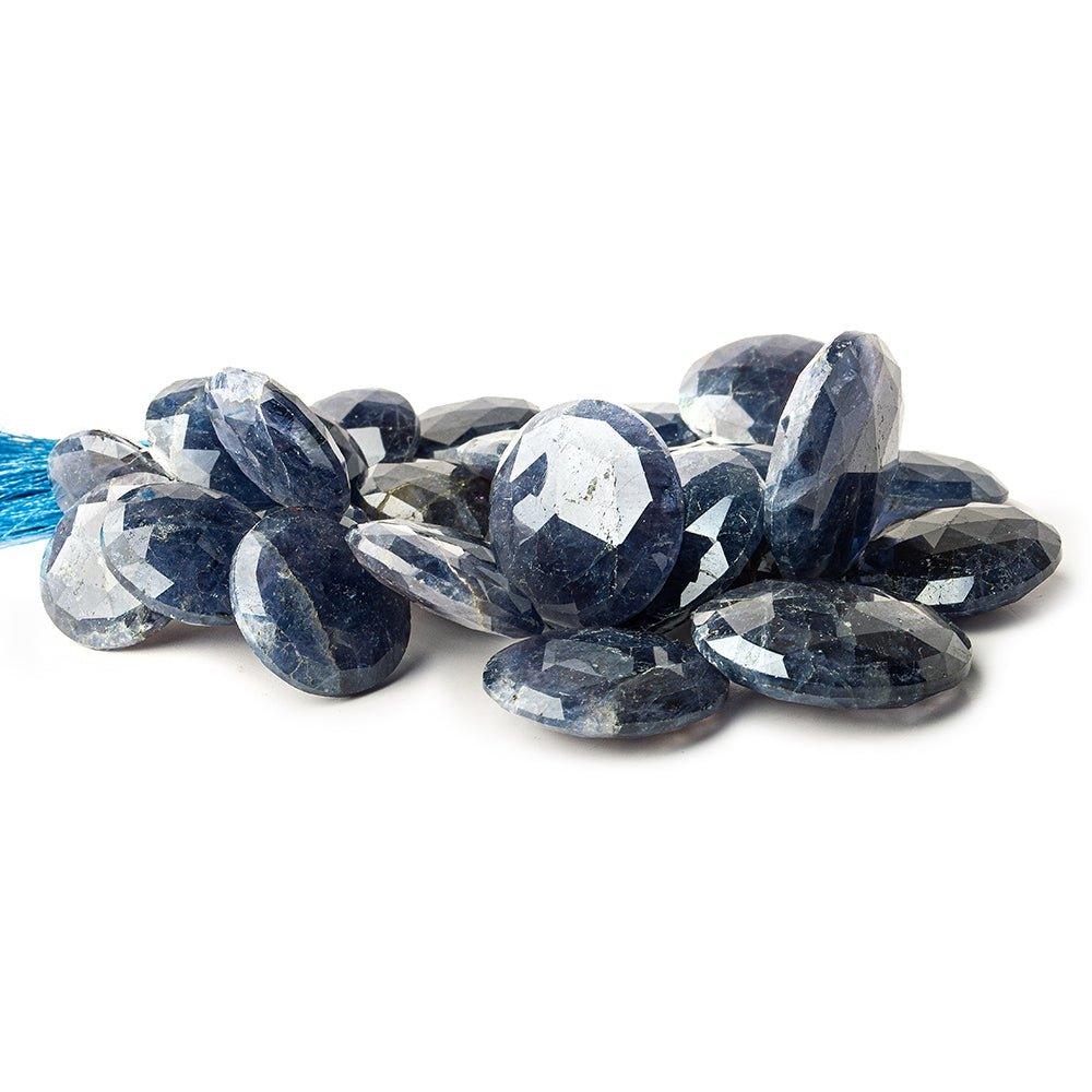 Iolite top drilled faceted coins 25 beads 19-28mm 8 inch - The Bead Traders