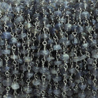 Iolite Tumbled Rondelle Black Gold Chain 38 pieces - The Bead Traders