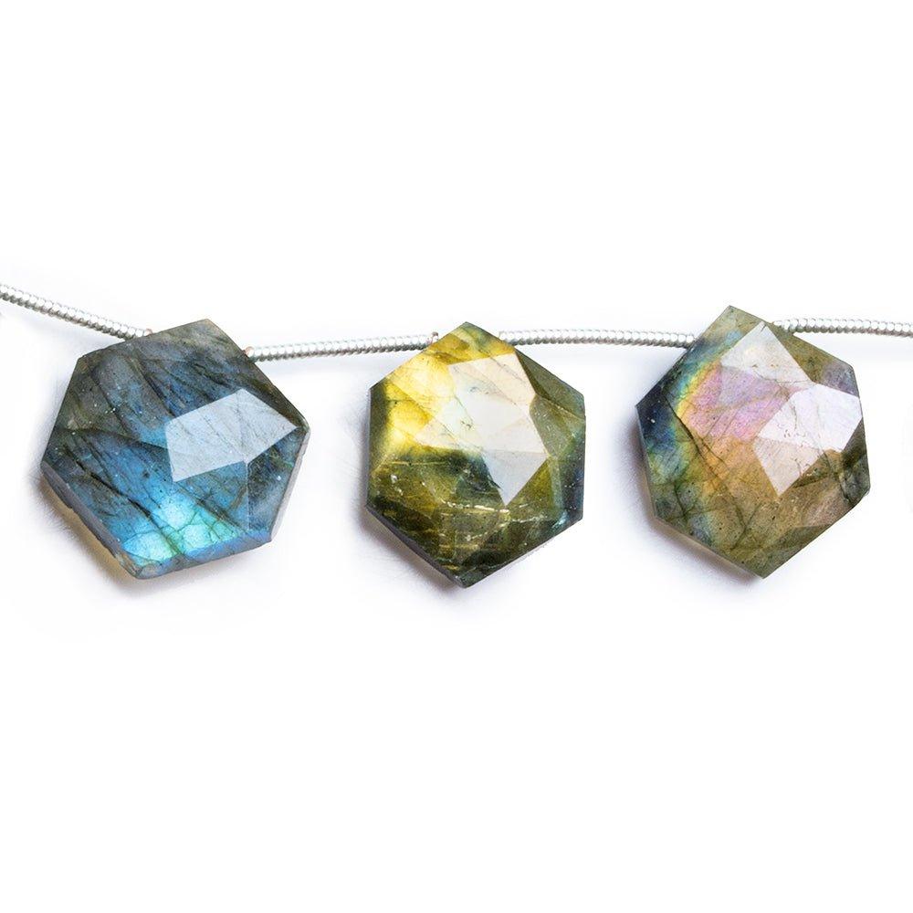 Labradorite Faceted Hexagon Beads 8 inch 12 pieces - The Bead Traders