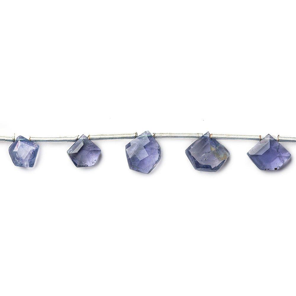 Light Iolite Faceted Top Drilled Pentagon - The Bead Traders