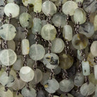 Matte Dendritic Prehnite plain coin Black Gold plated Chain by the foot - The Bead Traders