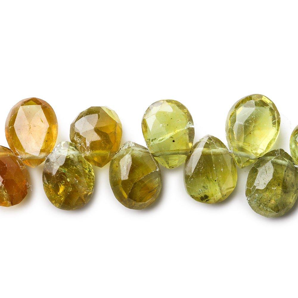 Multi Color Apatite Beads Faceted 8x6mm average Pears, 10" length, 60 pcs - The Bead Traders