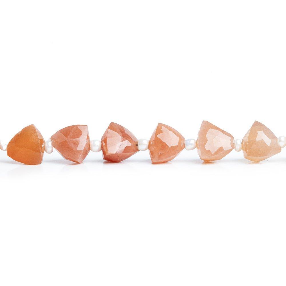 Peach Moonstone Faceted Trillion Beads 7 inch 25 pieces - The Bead Traders