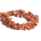 Peach Moonstone Plain Teardrops 12 inch 90 beads - The Bead Traders