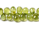 Peridot Tear Drop Briolette 8 inch 61 pieces - The Bead Traders