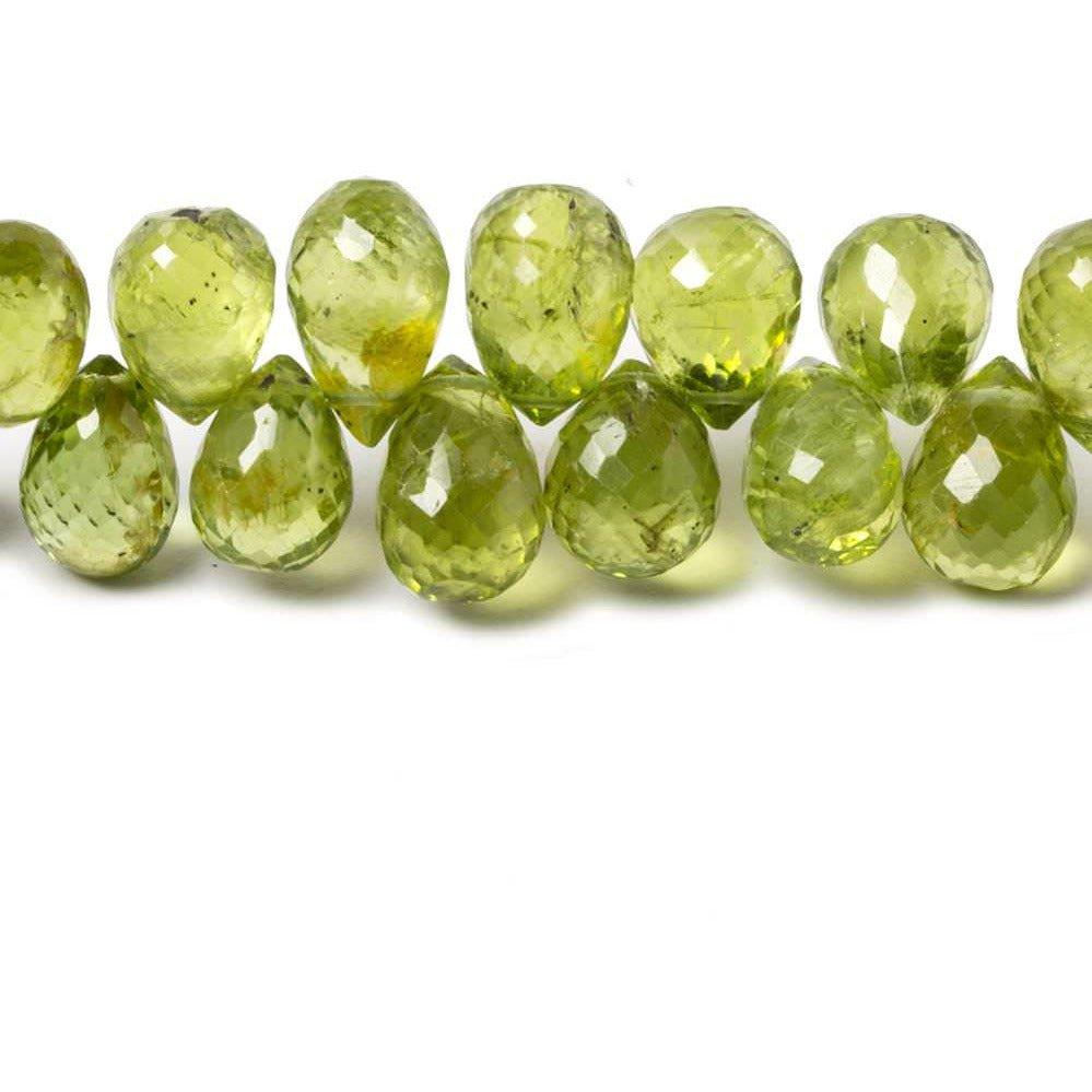 Peridot Tear Drop Briolette 8 inch 61 pieces - The Bead Traders