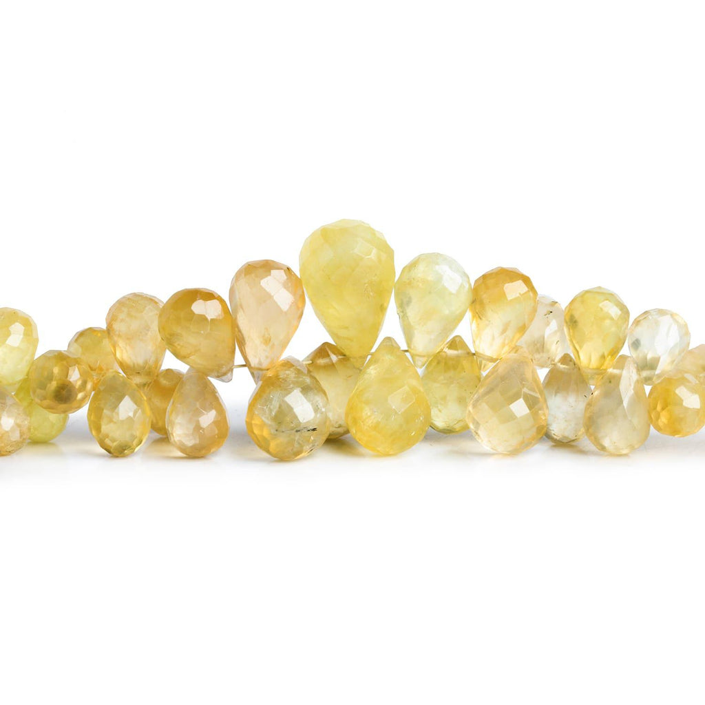 Prehnite Faceted Teardrops 8 inch 80 beads - The Bead Traders