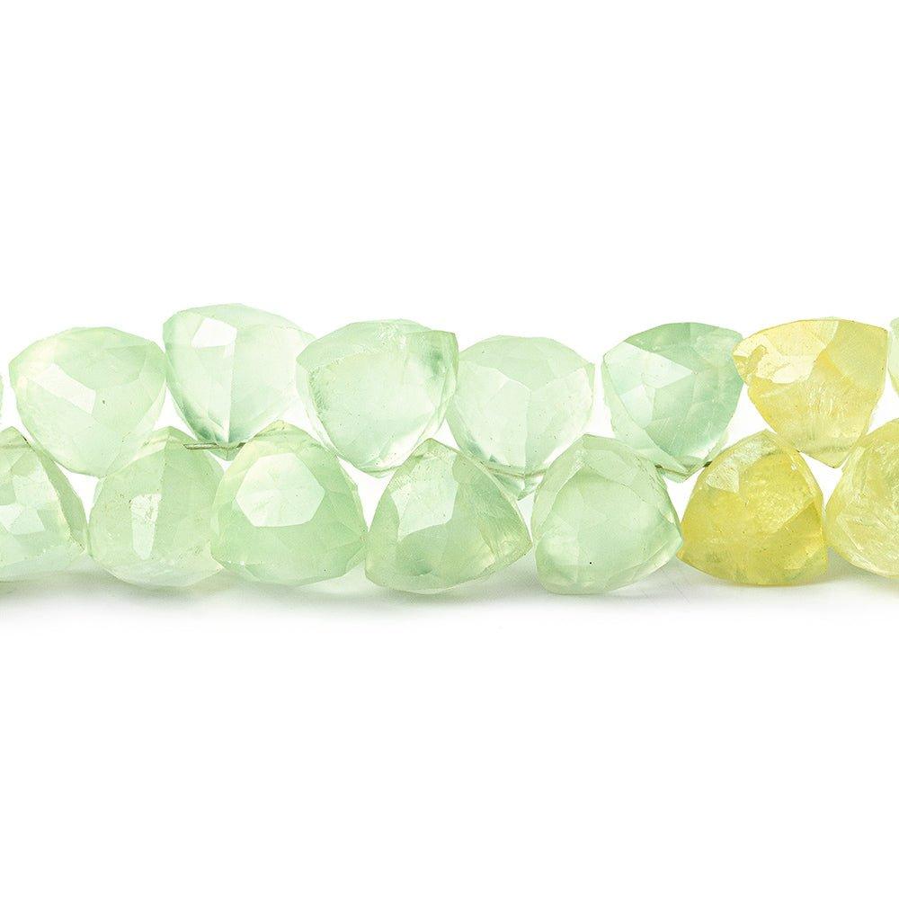 Prehnite top drilled Triangles 8 inch 53 beads 8mm A - The Bead Traders