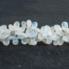 Rainbow Moonstone Faceted Pears 9.5 inch 68 beads - The Bead Traders