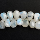 Rainbow Moonstone Plain Pear Beads 8 inch 50 pieces - The Bead Traders
