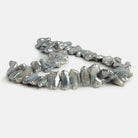 Silver Biwa Freshwater Pearl 15 inch 48 pieces - The Bead Traders