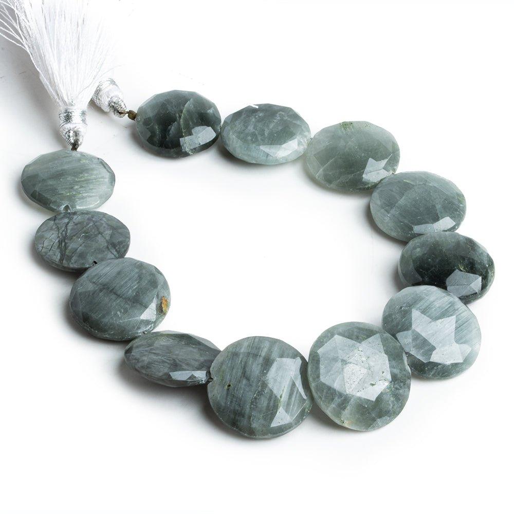 Silver Tiger's Eye Faceted Coin Beads 9 inch 12 pieces - The Bead Traders