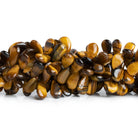 Tiger's Eye Plain Pears 7.5 inch 60 beads - The Bead Traders