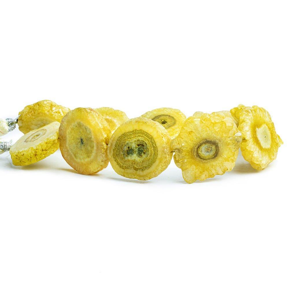 Yellow Solar Quartz Slice Beads 8 inch 8 pieces - The Bead Traders