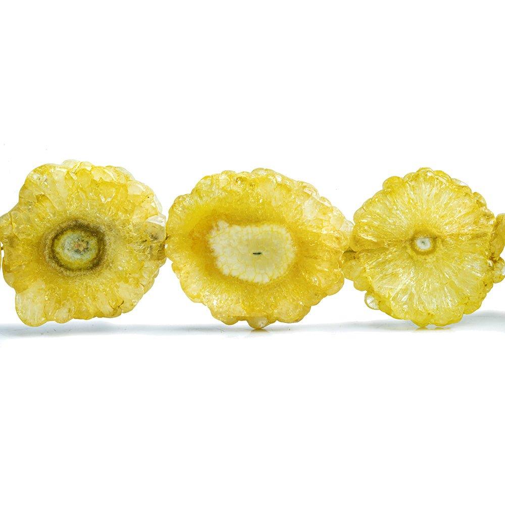 Yellow Solar Quartz Slice Beads 8 inch 8 pieces - The Bead Traders